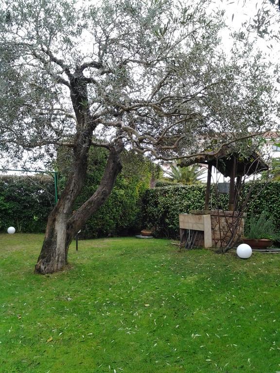 Robert House Apartment Alghero Bagian luar foto