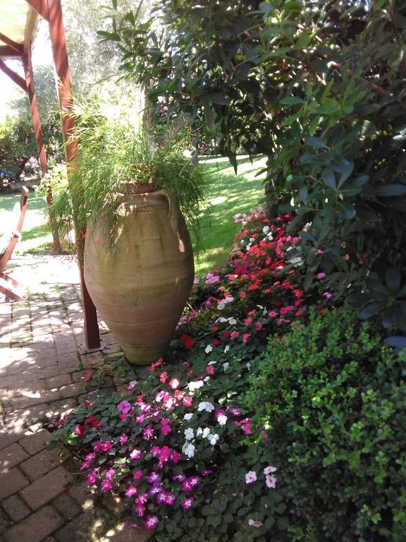 Robert House Apartment Alghero Bagian luar foto